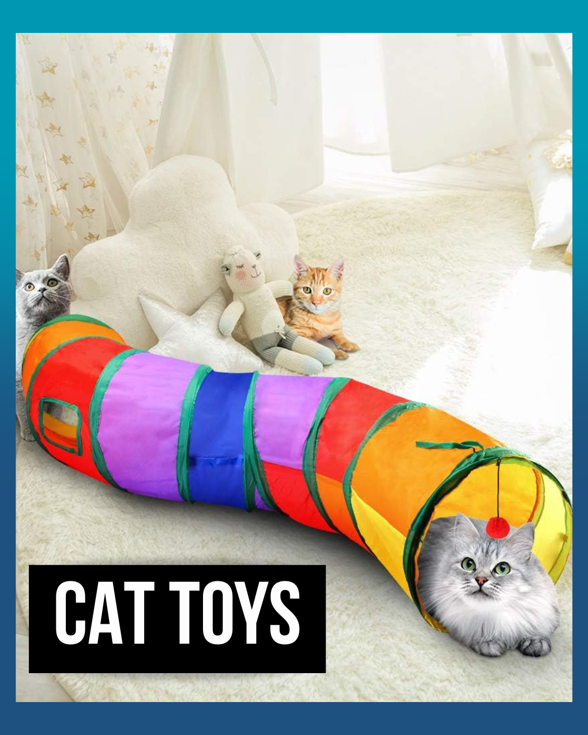 Cat Toys