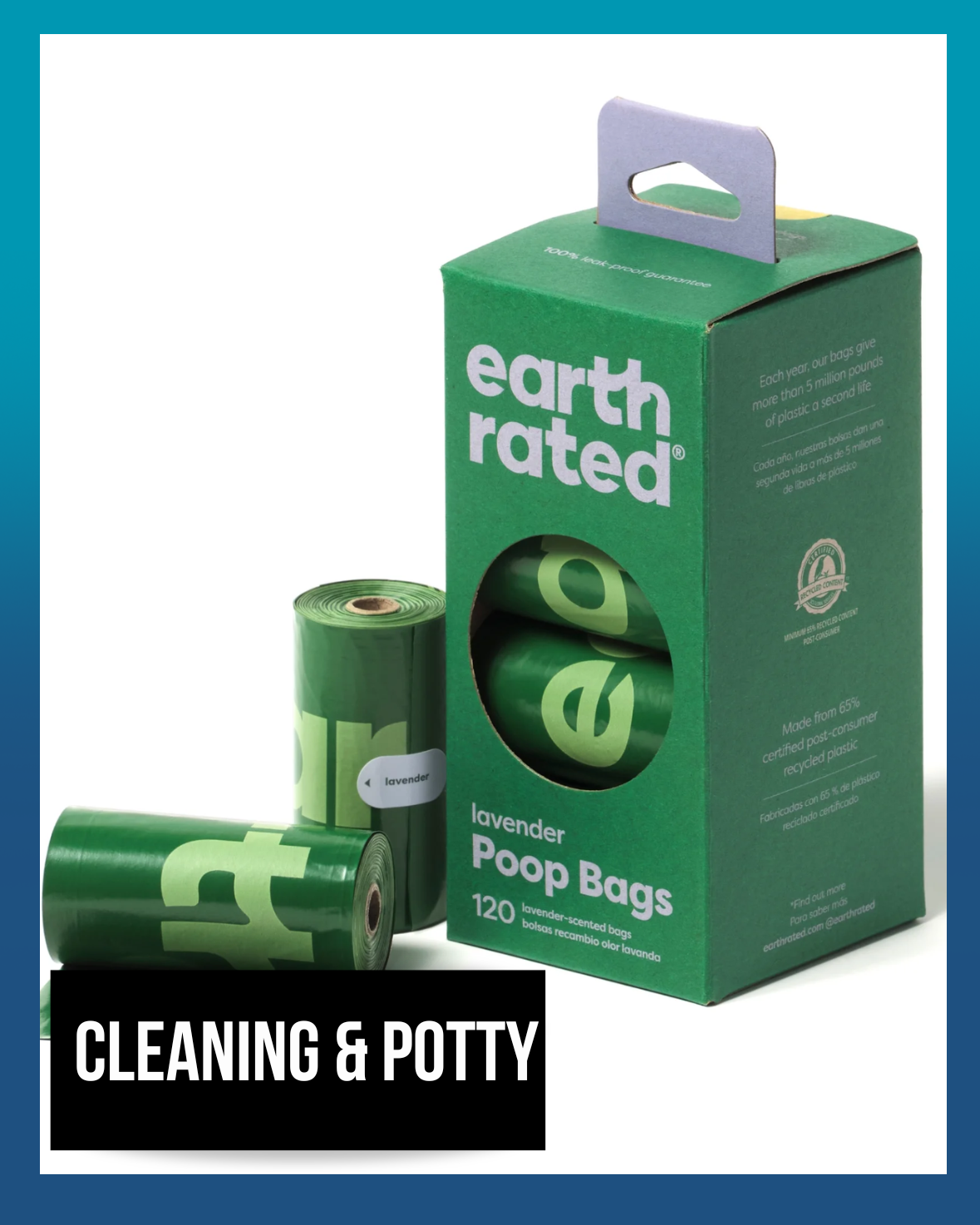 Cleaning & Potty