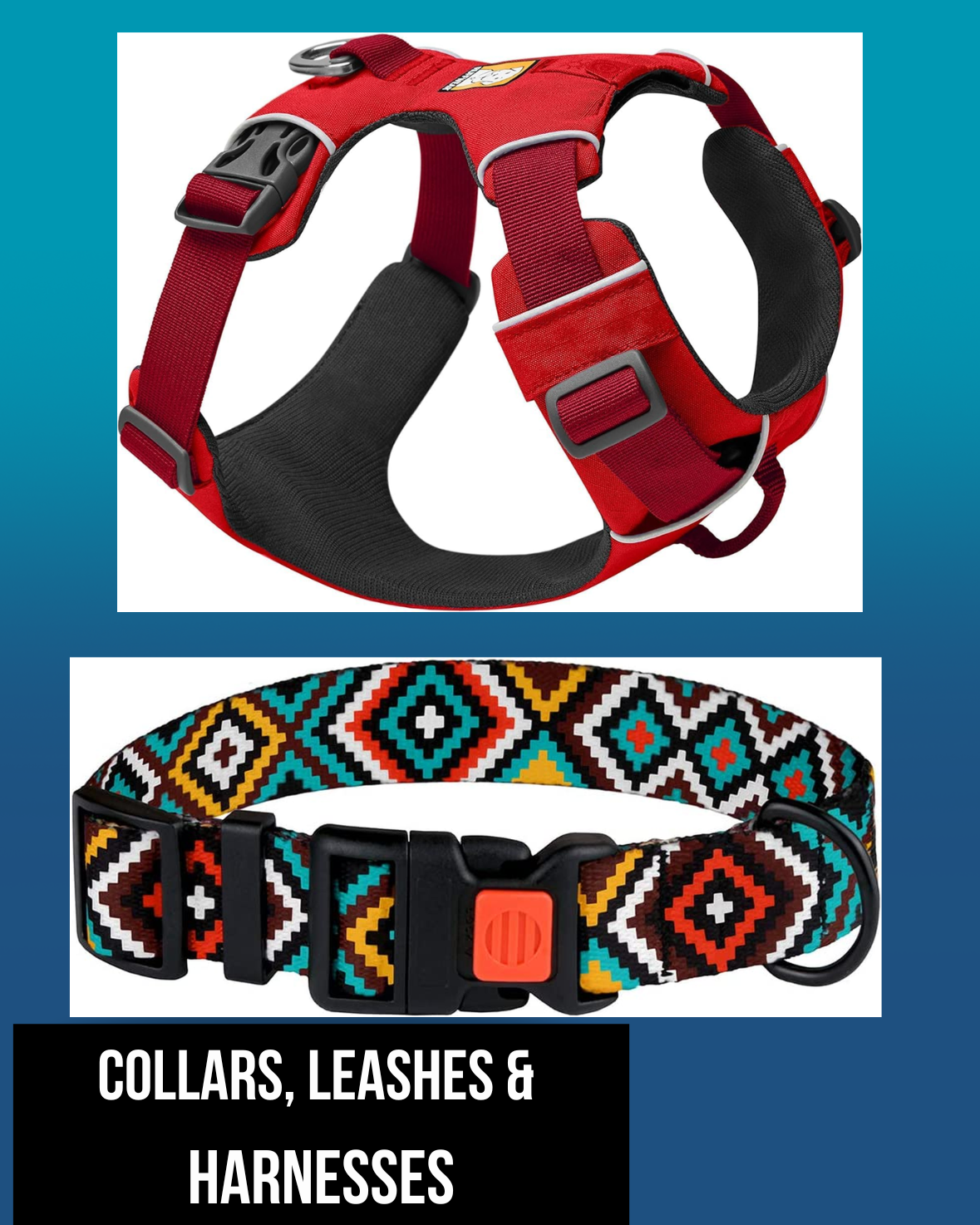 Collars & Harnesses