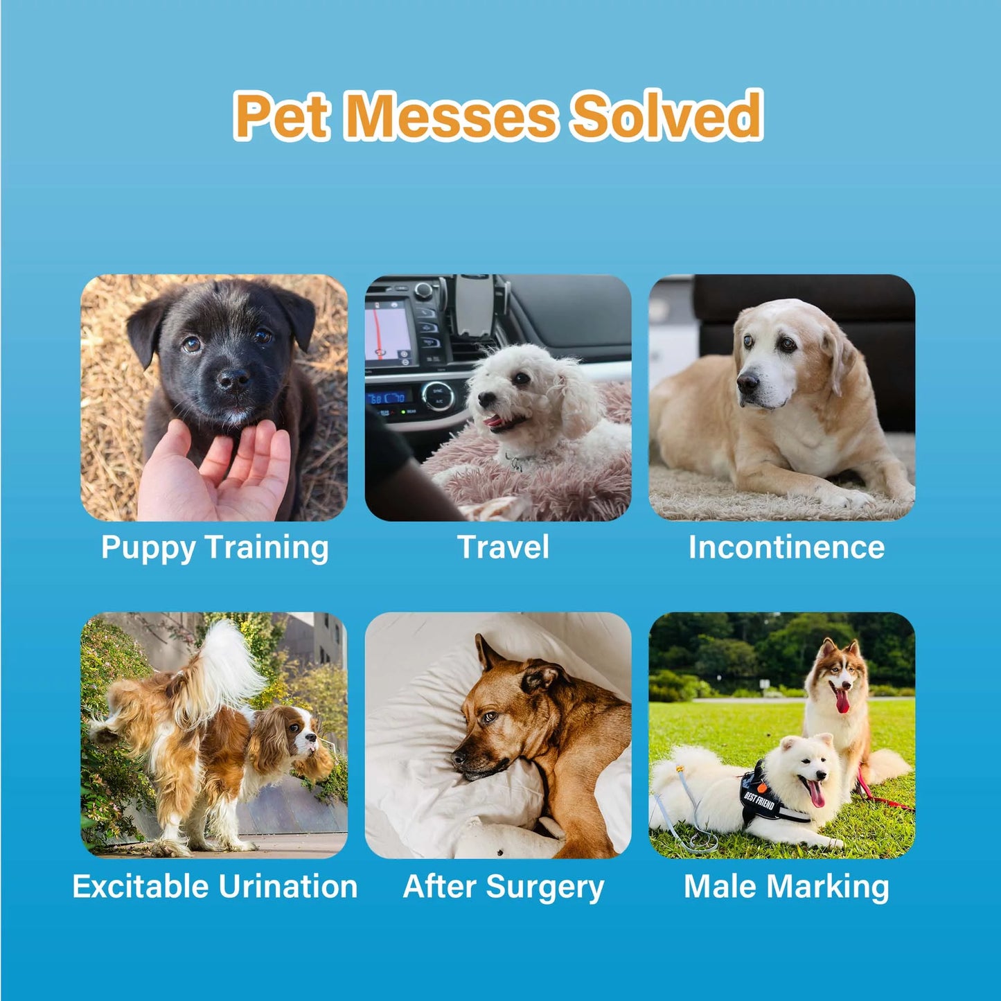 All-Absorb A25 Disposable Male Dog Wrap, 50 Count, Medium, Super Absorbent, Breathable
