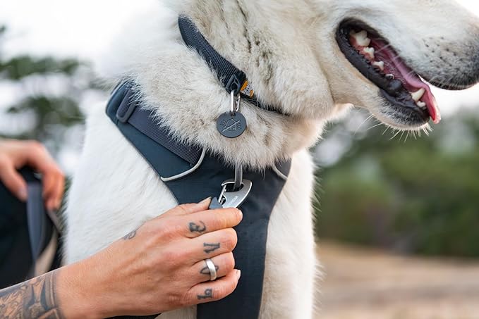Front Range Dog Collar, Durable and Comfortable Collar for Everyday Use
