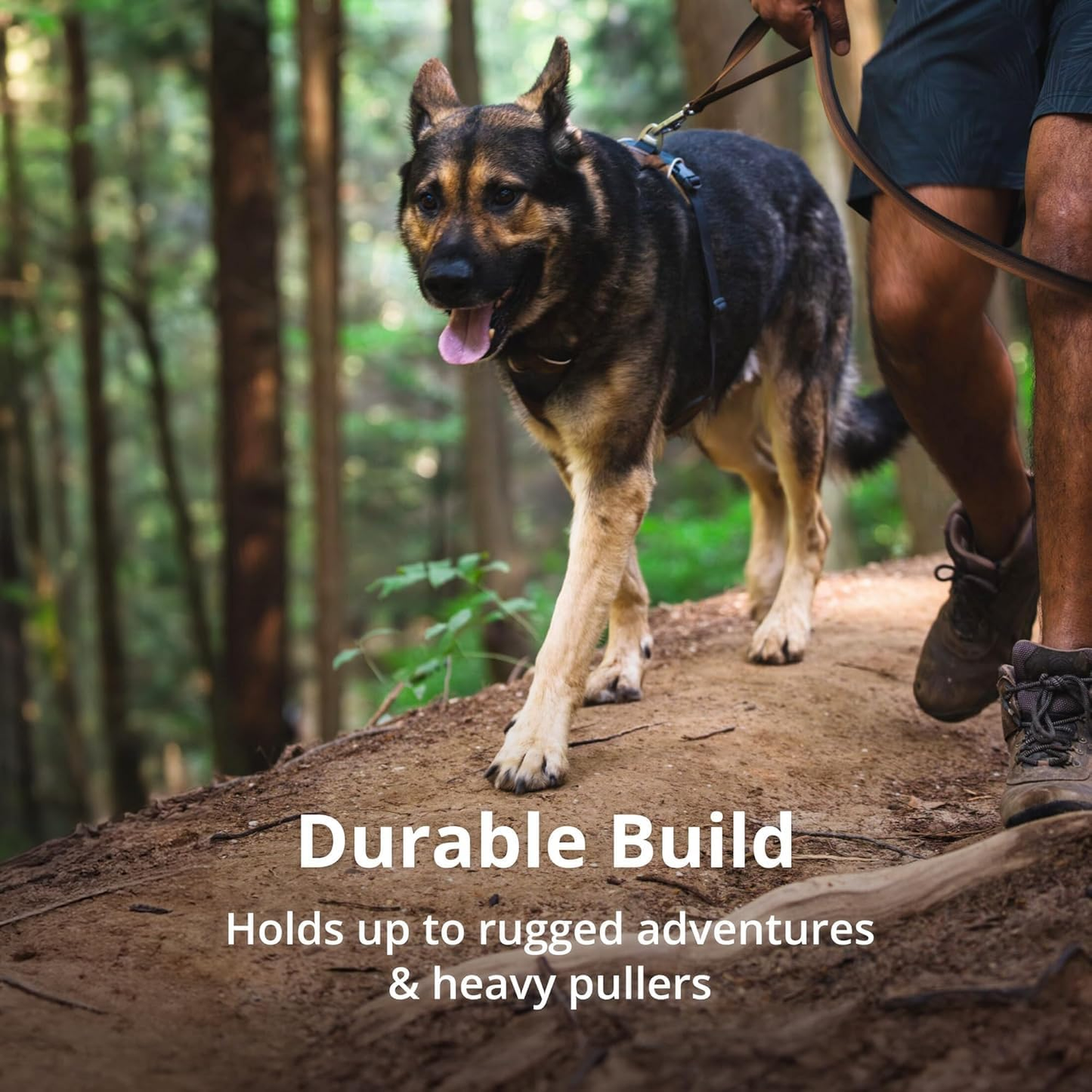 Front Range Dog Harness, Reflective Soft Padded Everyday Harness with Dual Leash Clips, Adjustable and Lightweight Fit for Training or Walking for All Dogs