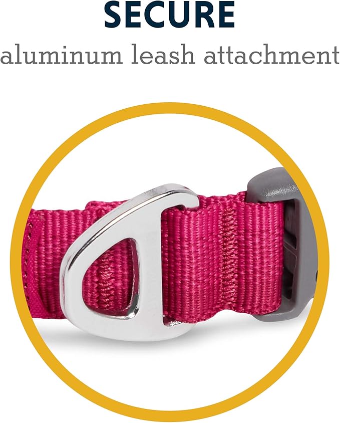 Front Range Dog Collar, Durable and Comfortable Collar for Everyday Use