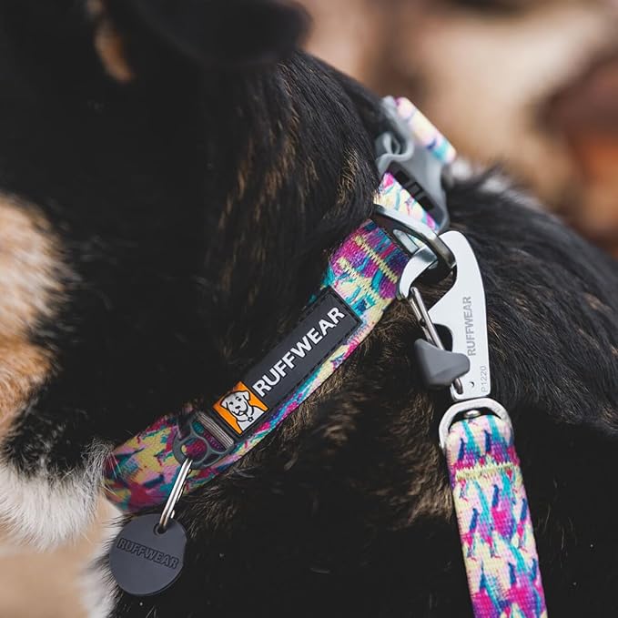 Front Range Dog Collar, Durable and Comfortable Collar for Everyday Use