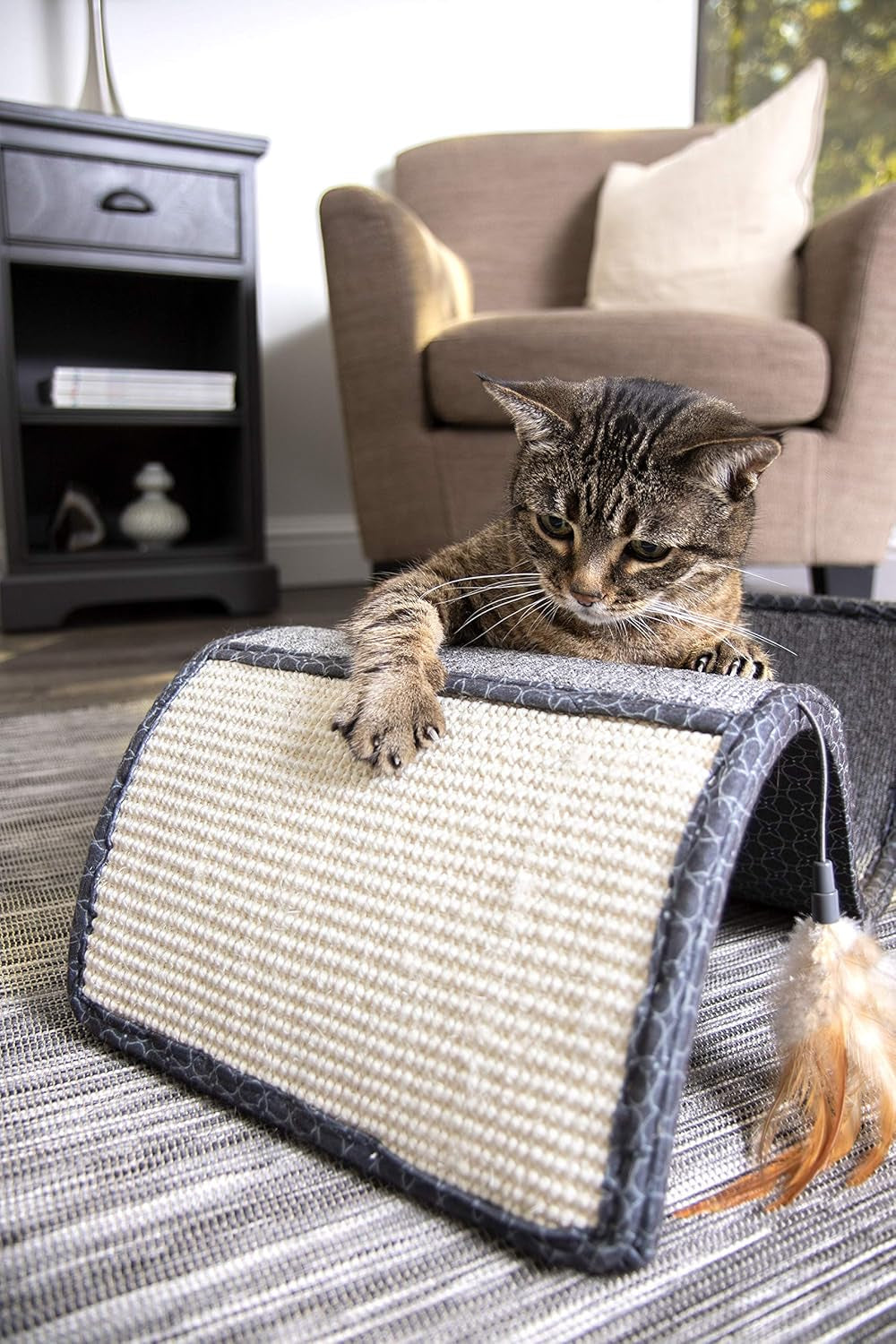 Scratch Scroll Sisal & Carpet Curled Cat Scratcher for Indoor Cats & Kittens, Features Feather Toy for Play, Looped Carpet Material, Gray