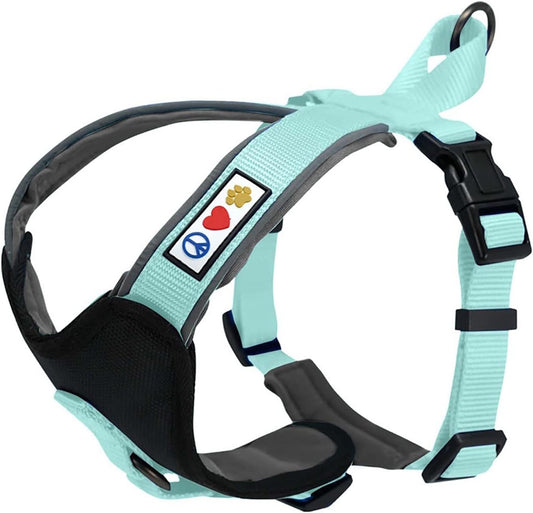 Reflective Dog Harness Padded Dog Harness Provides Comfort Control for a Walk or Running Great Pet Accessories Dog Vest XS Extra Small Teal Dog Harness