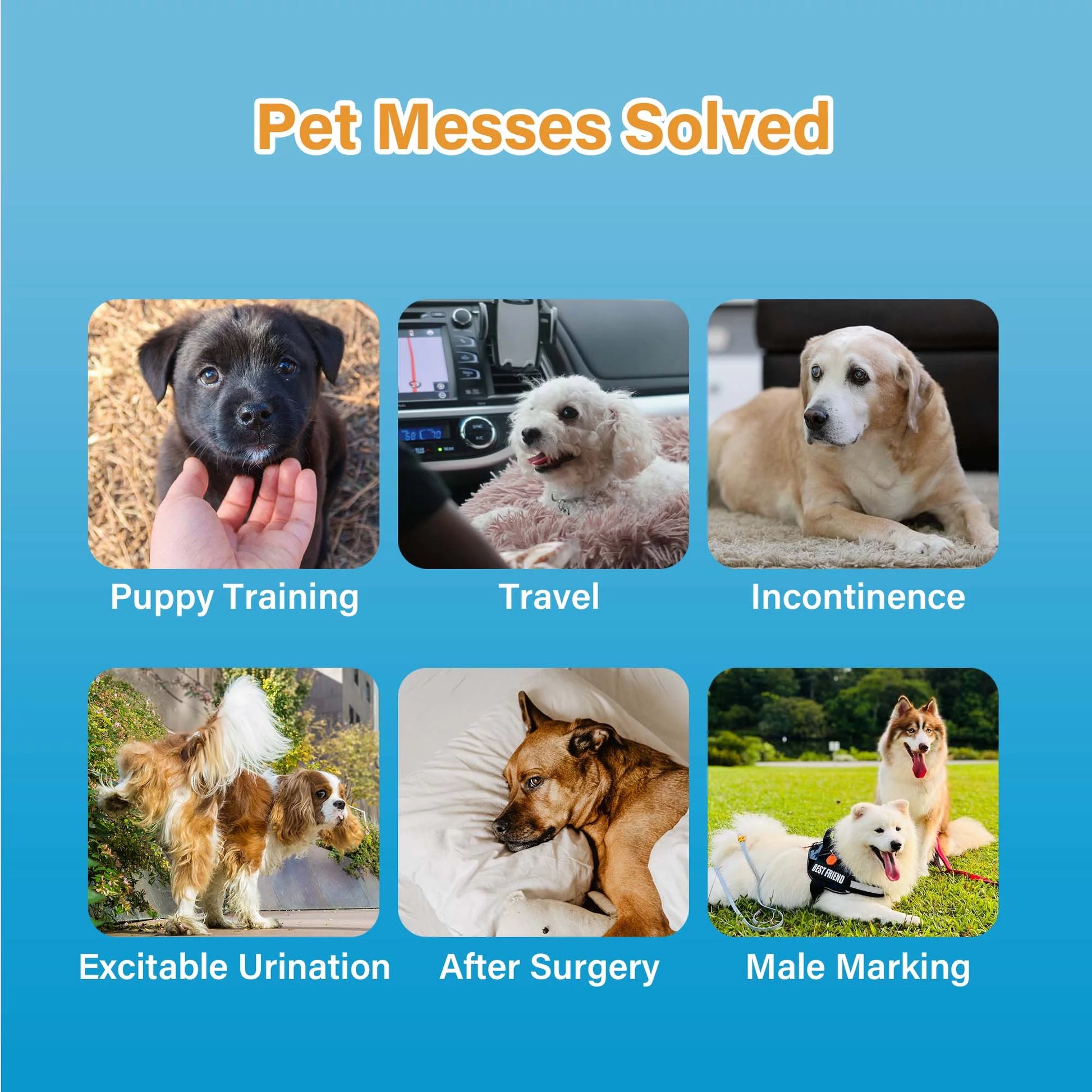 All-Absorb A25 Disposable Male Dog Wrap, 50 Count, Medium, Super Absorbent, Breathable