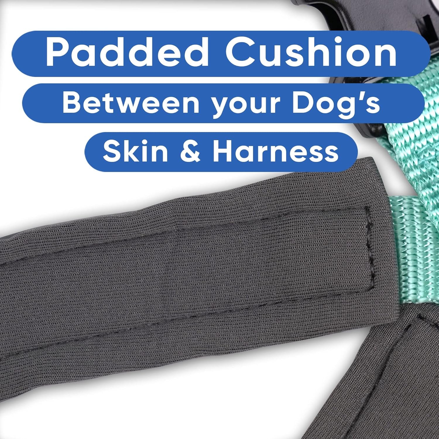 Reflective Dog Harness Padded Dog Harness Provides Comfort Control for a Walk or Running Great Pet Accessories Dog Vest XS Extra Small Teal Dog Harness