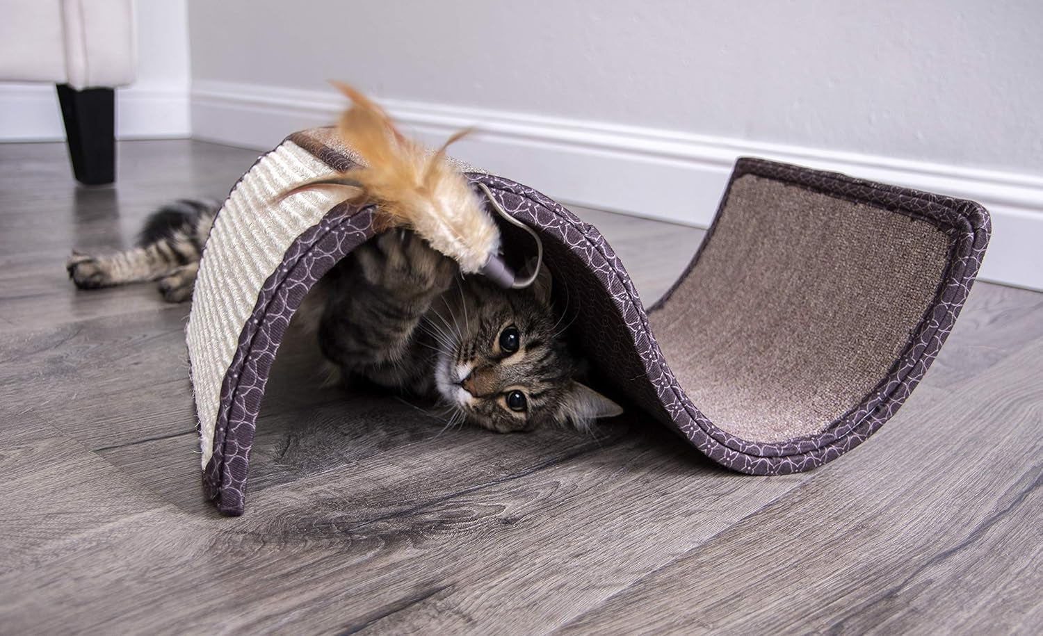 Scratch Scroll Sisal & Carpet Curled Cat Scratcher for Indoor Cats & Kittens, Features Feather Toy for Play, Looped Carpet Material, Gray