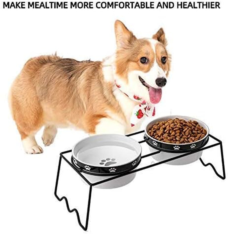 Raised Dog Bowls, Elevated Dog Bowls 24Oz, Ceramic Dog Cat Bowls for Food and Water, Pet Bowls for Cats and Small Dogs, Prevent Neck Pain, anti Slip Feet, White