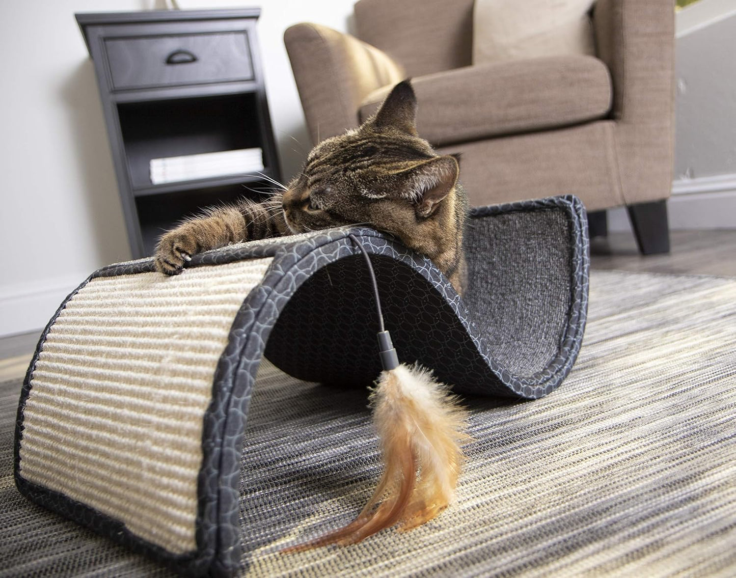 Scratch Scroll Sisal & Carpet Curled Cat Scratcher for Indoor Cats & Kittens, Features Feather Toy for Play, Looped Carpet Material, Gray