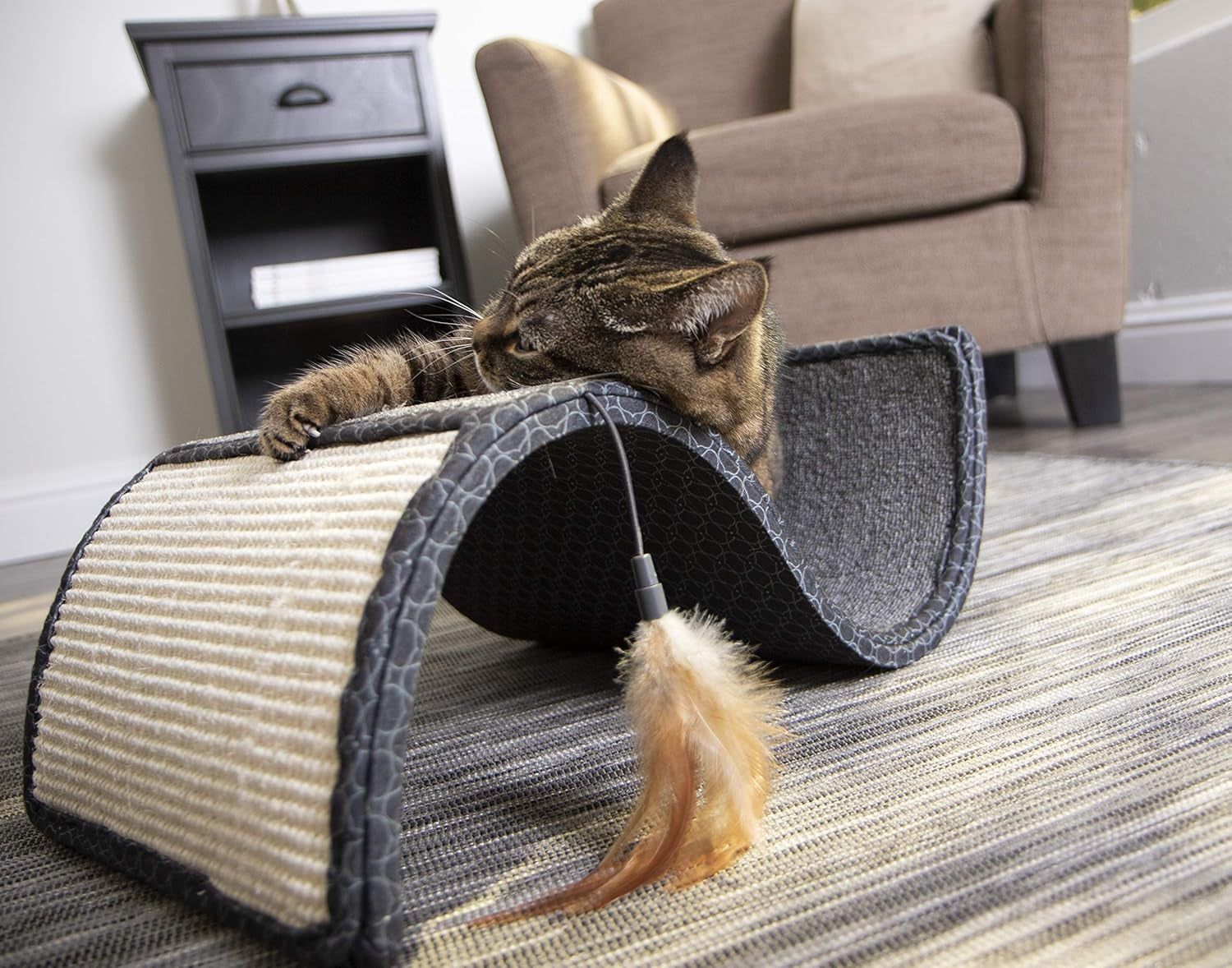 Scratch Scroll Sisal & Carpet Curled Cat Scratcher for Indoor Cats & Kittens, Features Feather Toy for Play, Looped Carpet Material, Gray