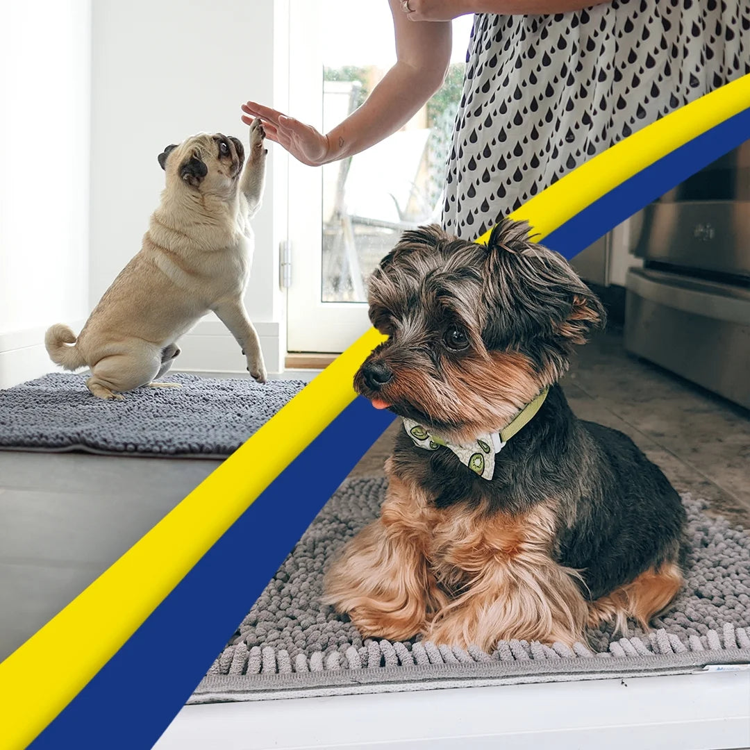 ® AS-SEEN-ON-TV Highly Absorbent Microfiber Door Mat and Pet Rug, Non Slip Thick Washable Area and Bath Mat Soft Chenille for Kitchen Bathroom Bedroom Indoor and Outdoor - Grey Large 35"X24"