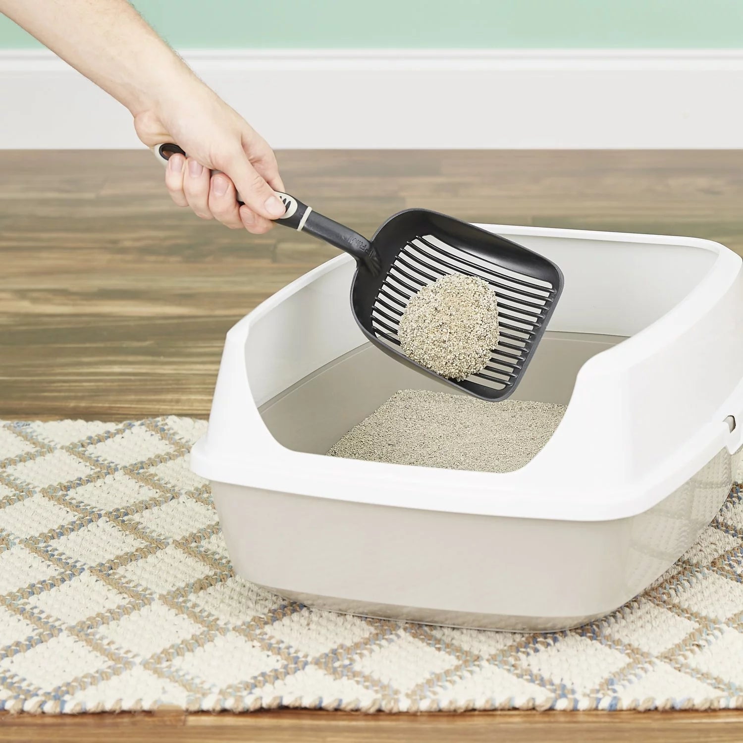 Kitten Attract Clumping Clay Cat Litter 20 Lb. Box