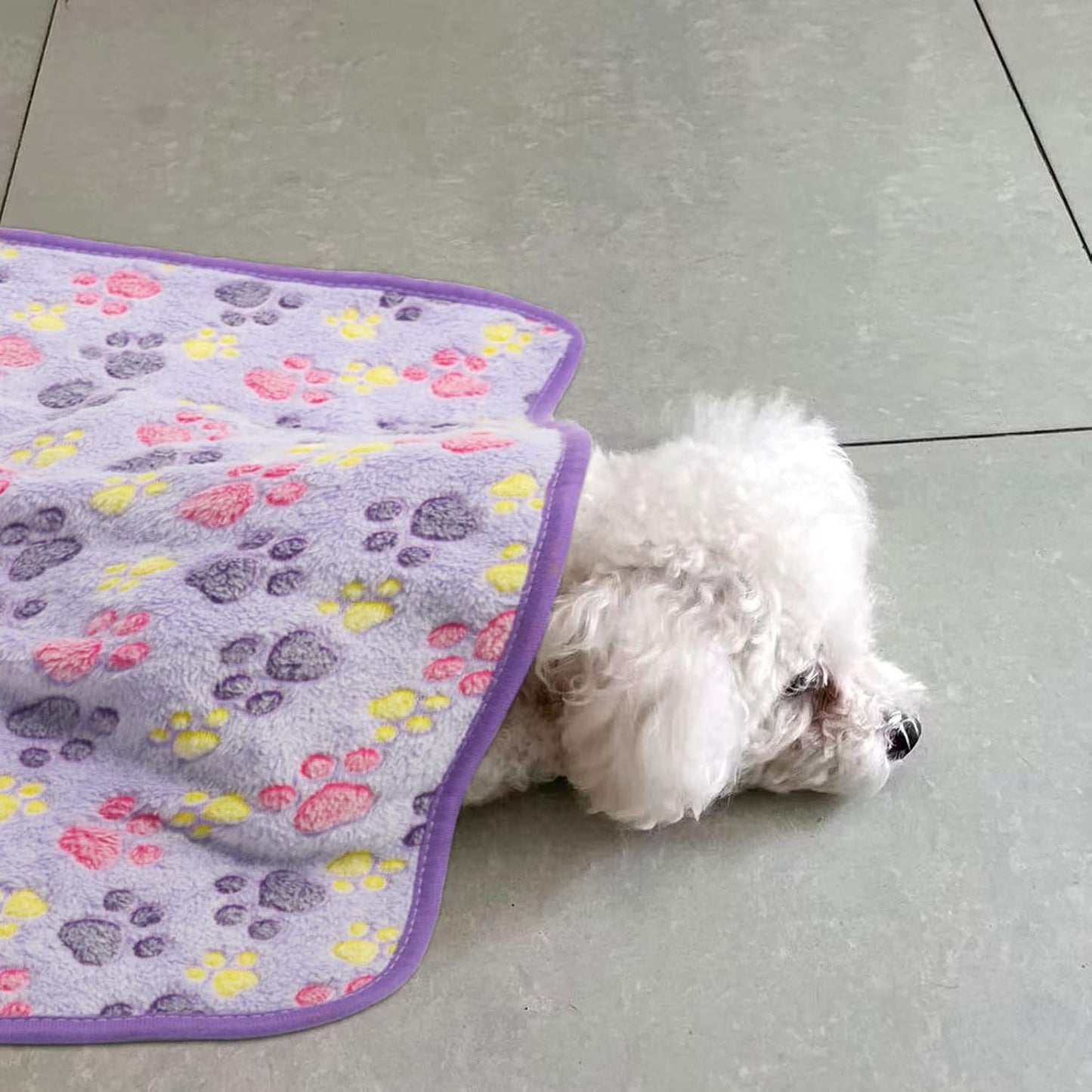 6 Pack Puppy Dog Blankets Super Soft Warm Sleep Mat Paw Print Blanket Fleece Pet Blanket Flannel Throw Dog Blankets for Small Dogs Puppy Cats PetsSmall(23"x15")