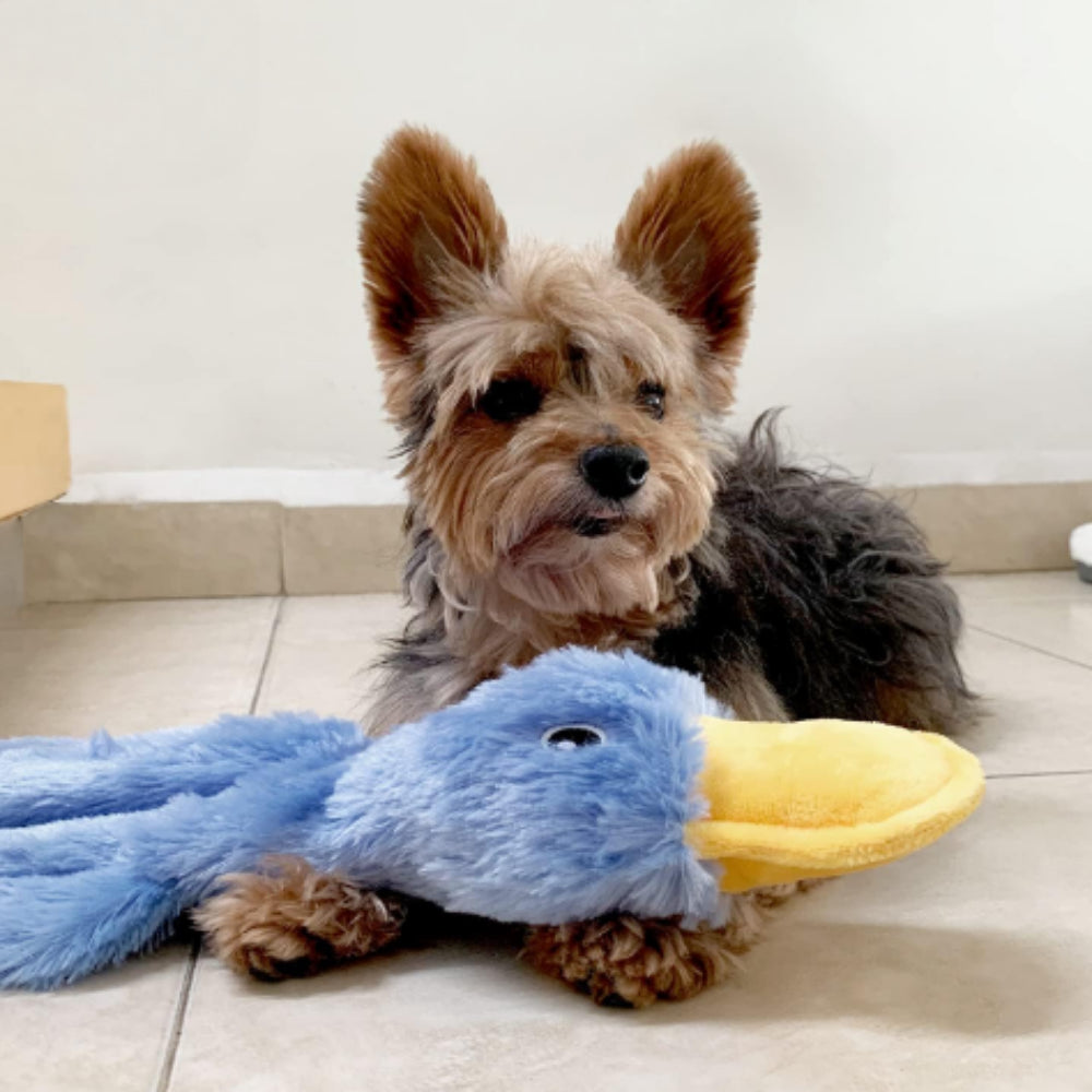 15'' Yellow Duck Toy for Dog, Small, Medium, & Large Breeds, Soft Squeaker Duck*