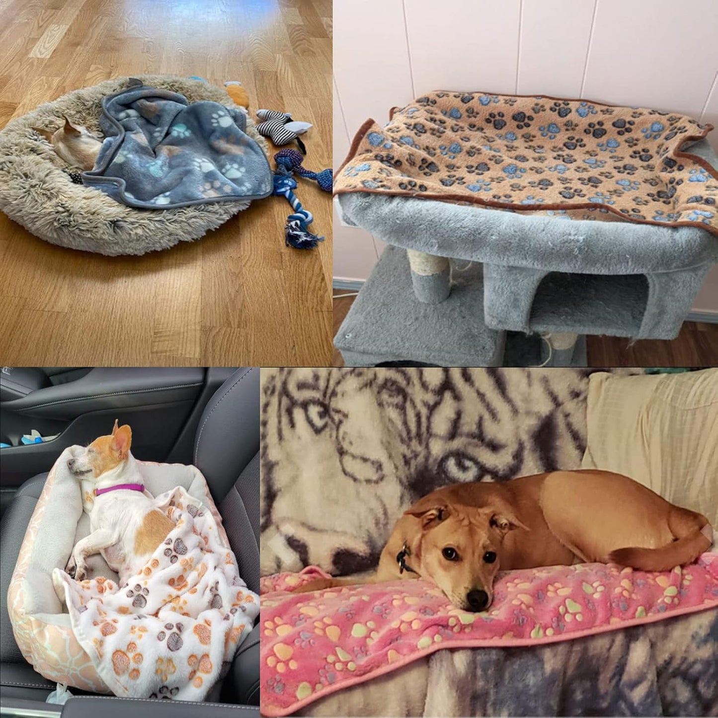 6 Pack Puppy Dog Blankets Super Soft Warm Sleep Mat Paw Print Blanket Fleece Pet Blanket Flannel Throw Dog Blankets for Small Dogs Puppy Cats PetsSmall(23"x15")