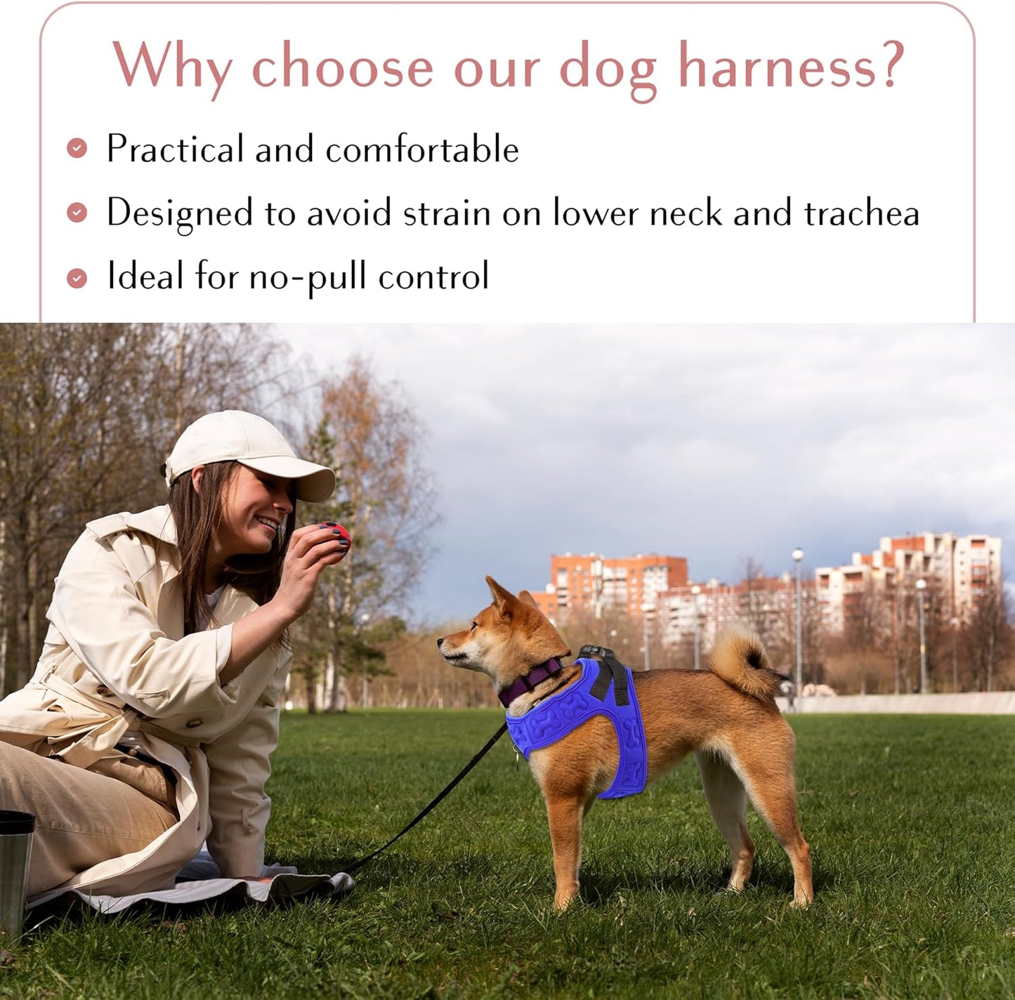 Comfort Fit Step-In Dog Harness - Comfortable Puppy Harness & Dog Vest: Adjustable, Soft Padded for Small, Medium Dogs - Easy to Put-On Dog Harness Medium Sized Dog