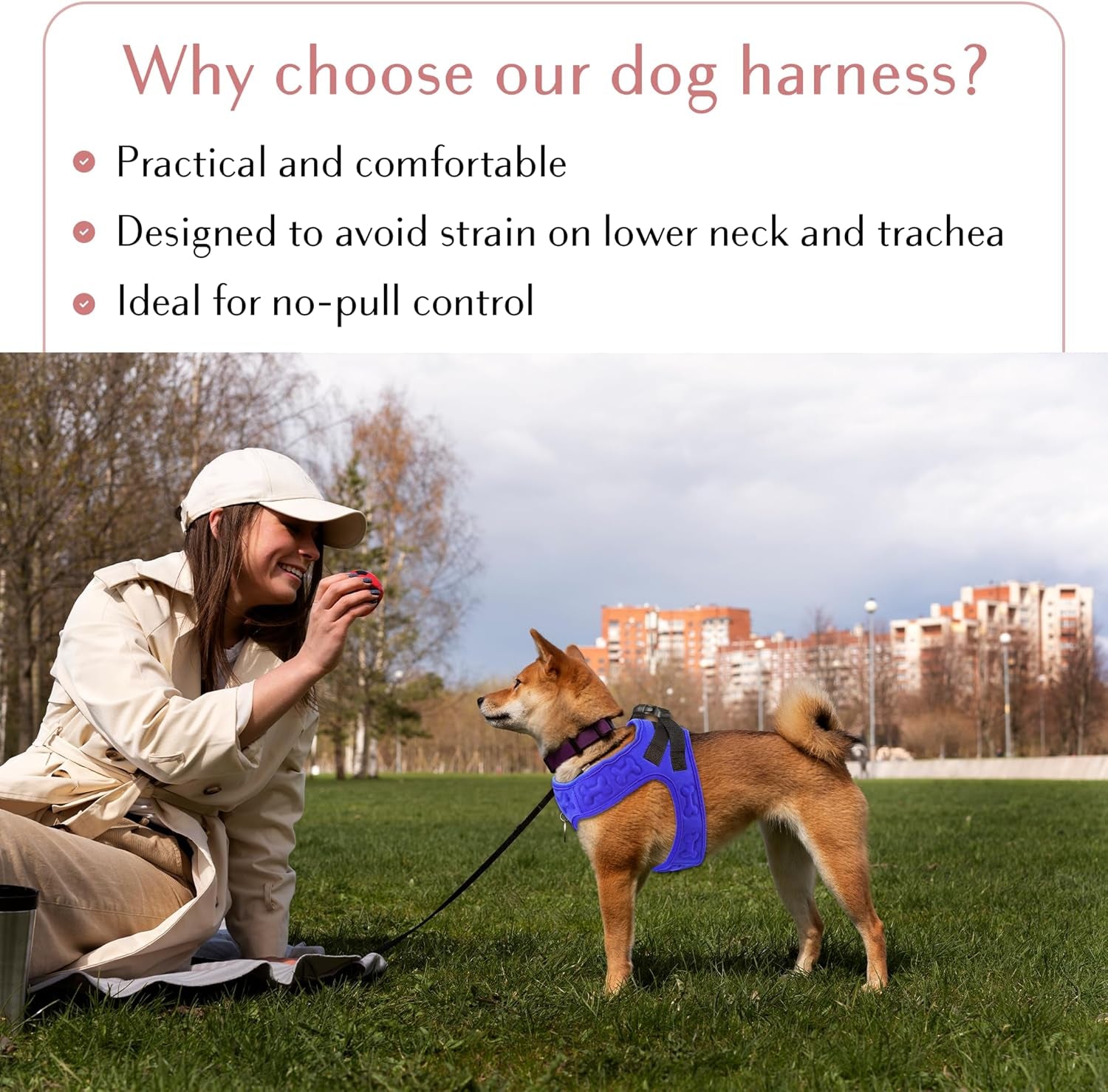 Comfort Fit Step-In Dog Harness - Comfortable Puppy Harness & Dog Vest: Adjustable, Soft Padded for Small, Medium Dogs - Easy to Put-On Dog Harness Medium Sized Dog