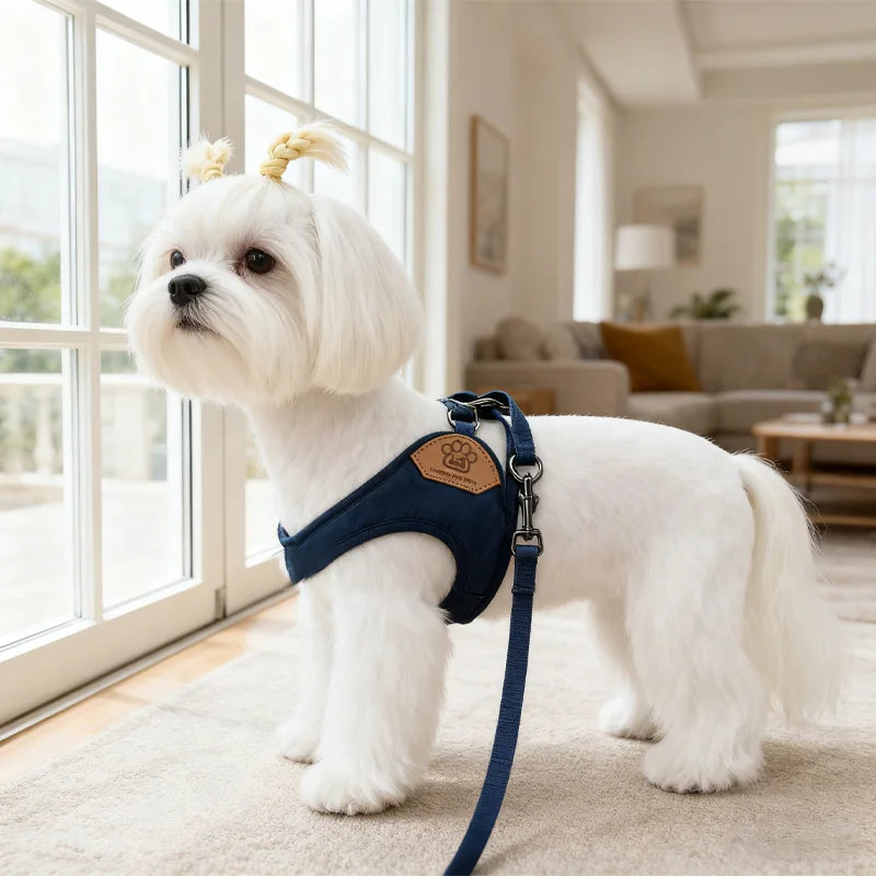ComfyFit Dog Harness Set