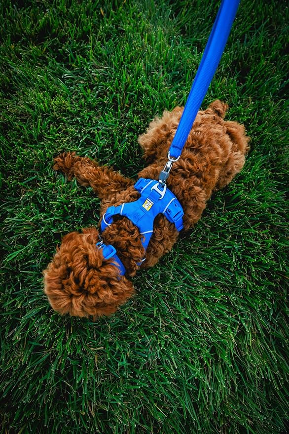 Front Range Dog Collar, Durable and Comfortable Collar for Everyday Use