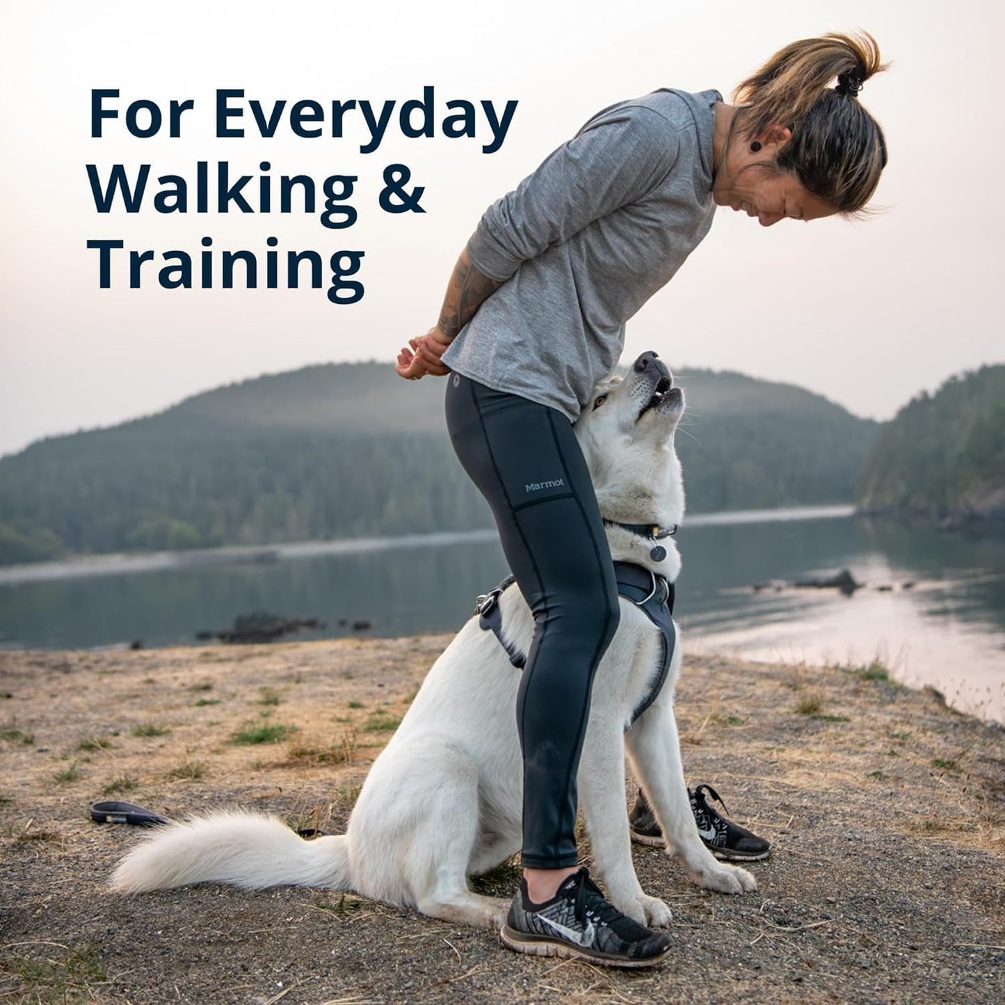 Front Range Dog Harness, Reflective Soft Padded Everyday Harness with Dual Leash Clips, Adjustable and Lightweight Fit for Training or Walking for All Dogs