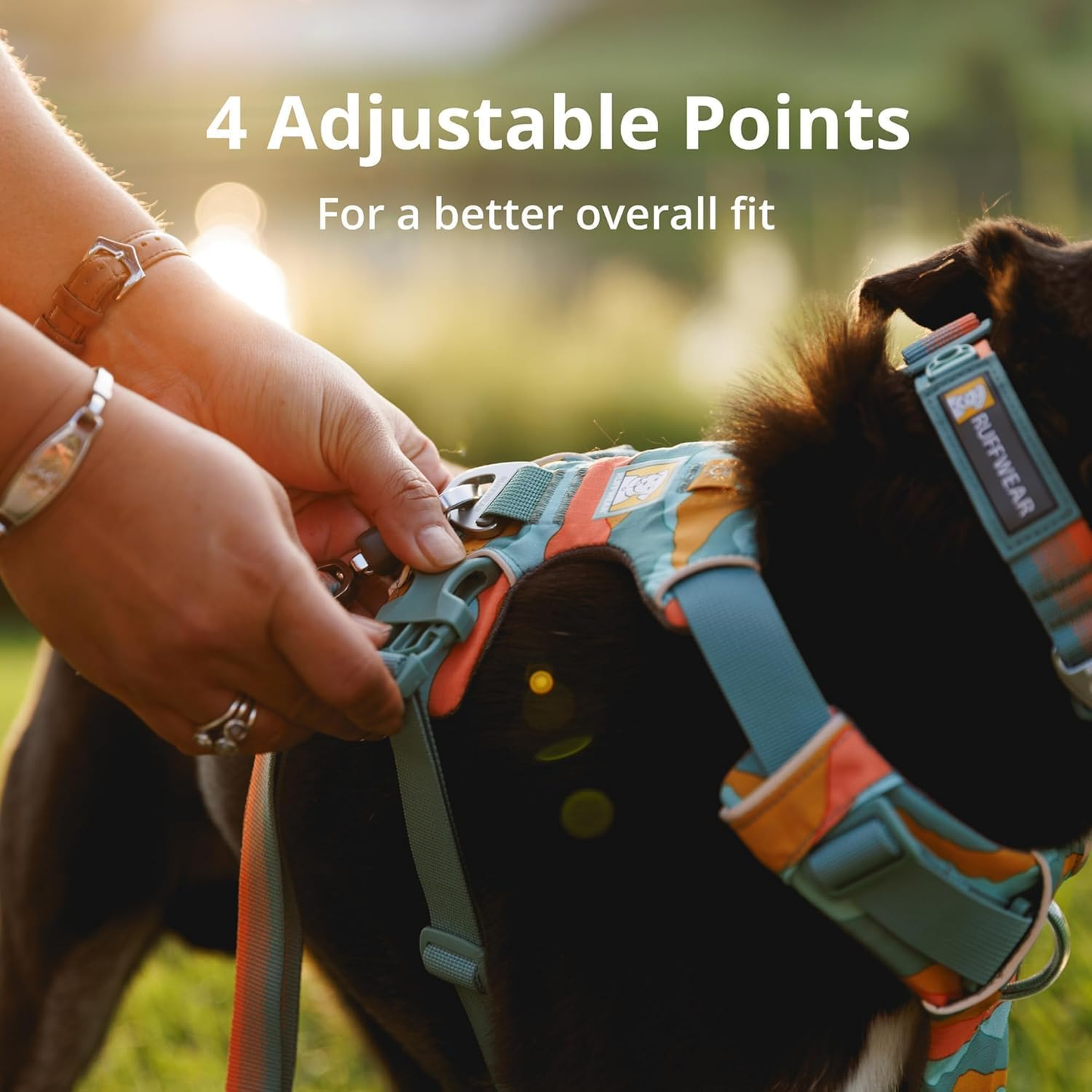 Front Range Dog Harness, Reflective Soft Padded Everyday Harness with Dual Leash Clips, Adjustable and Lightweight Fit for Training or Walking for All Dogs