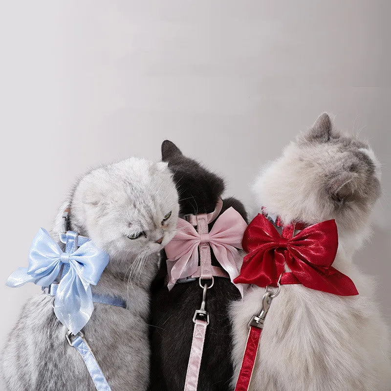 Cozy Cat Accessory