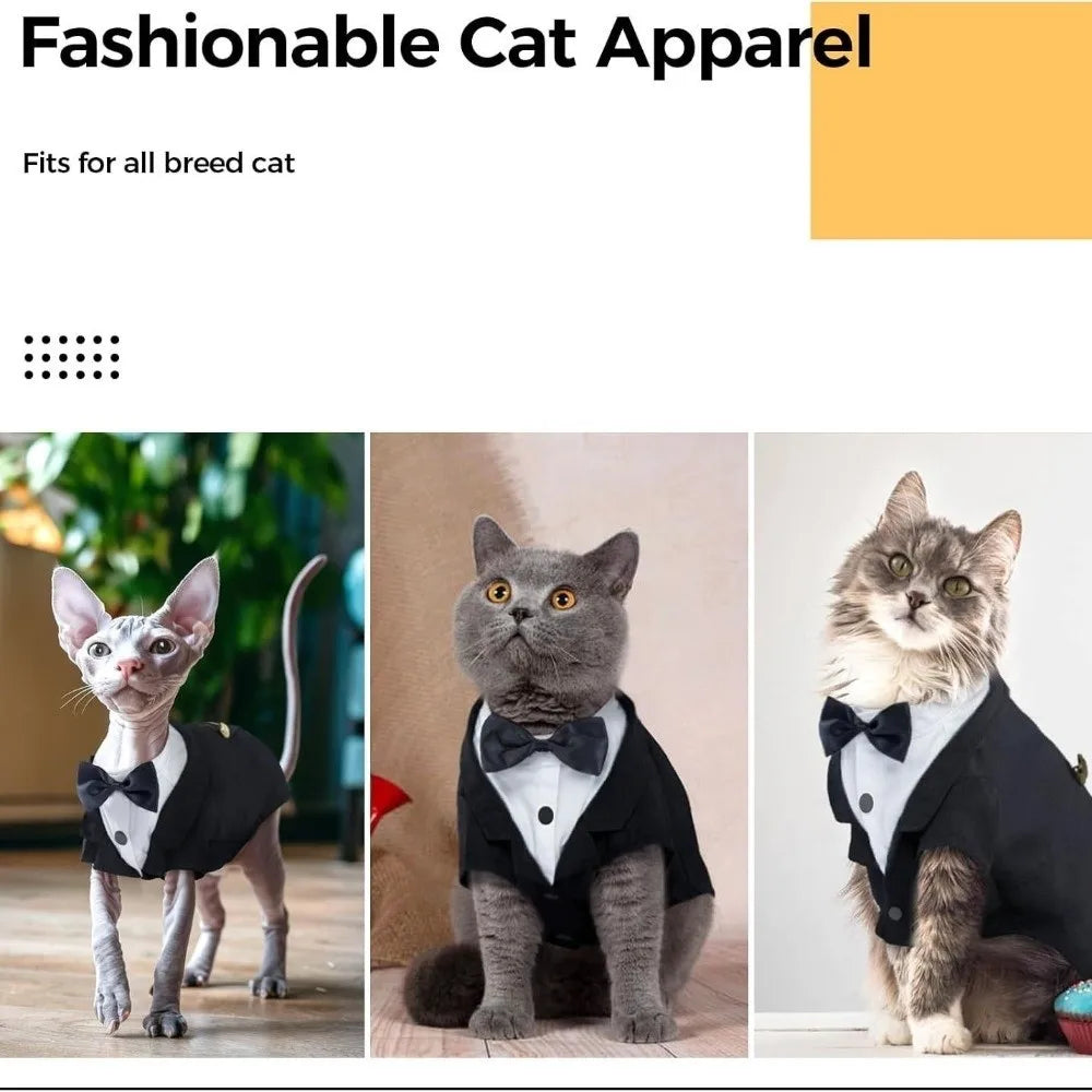 Cozy Cat Hoodie