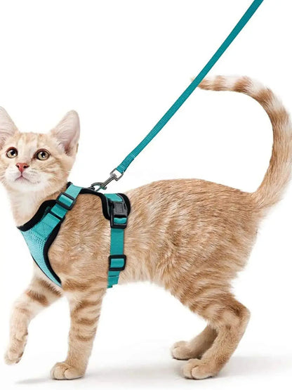 Classic Cat Essential