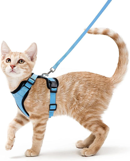 Classic Cat Essential