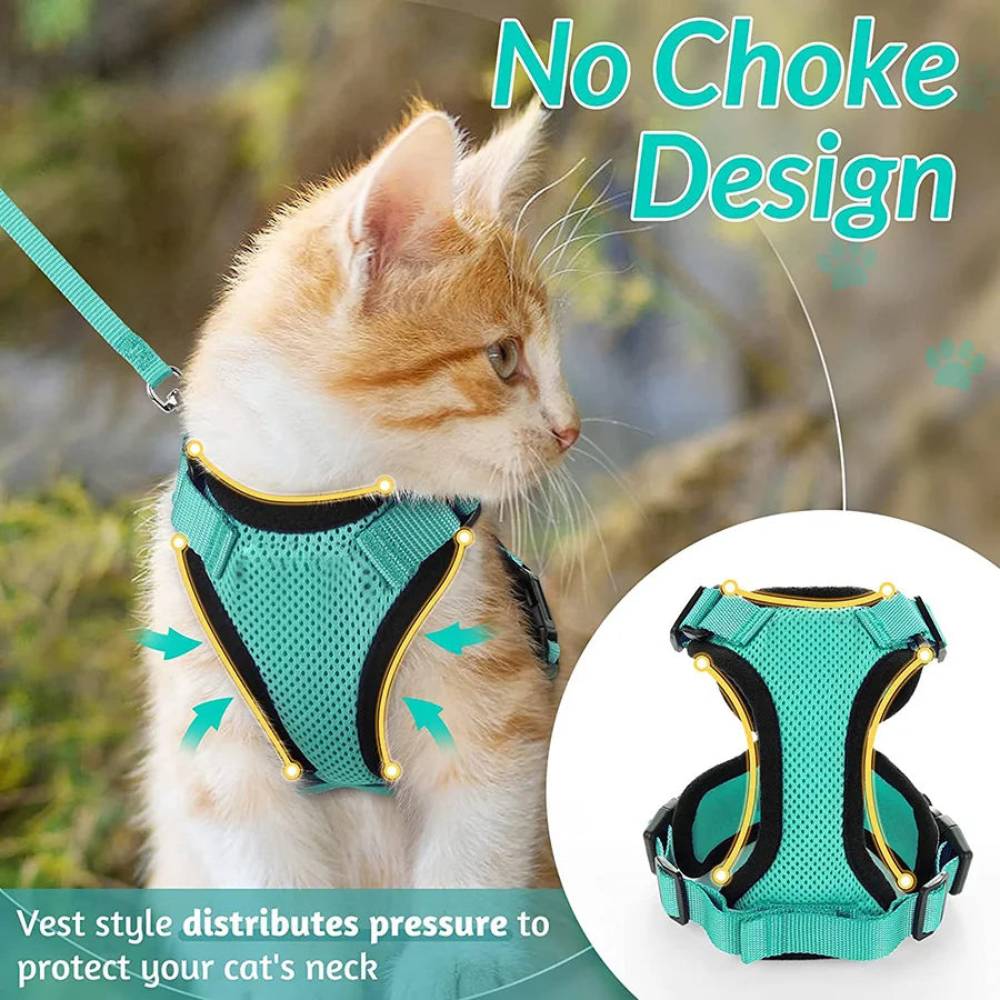 Classic Cat Essential