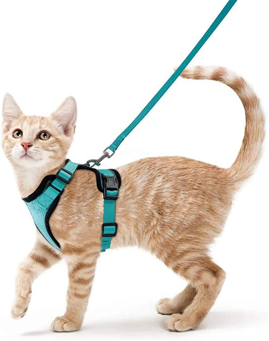 Classic Cat Essential