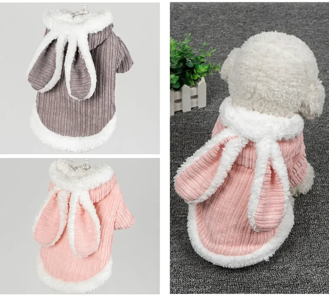 Cute Rabbit Pet Coat