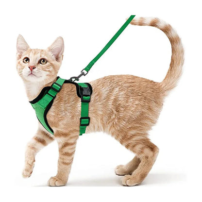 Classic Cat Essential