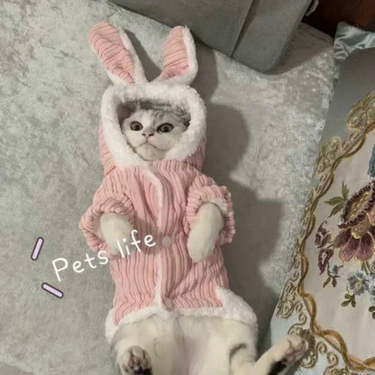 Cute Rabbit Pet Coat