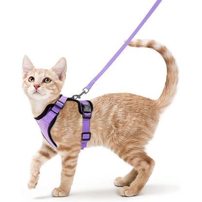 Classic Cat Essential