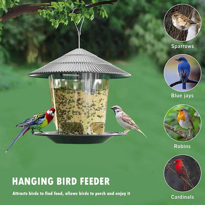 Hanging Wild Bird Feeder