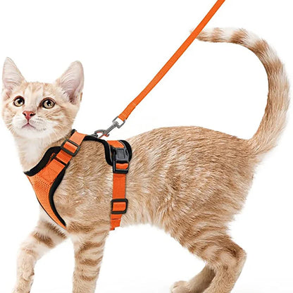 Classic Cat Essential