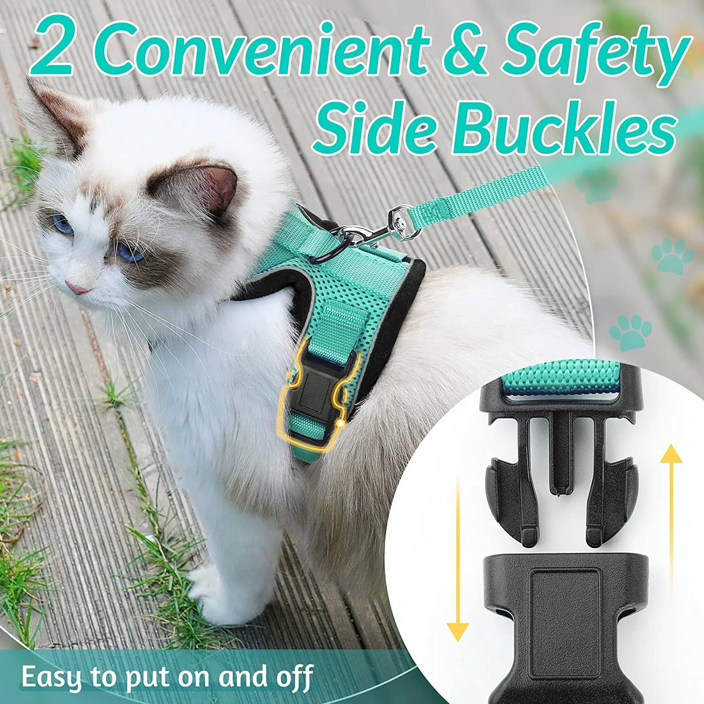 Classic Cat Essential
