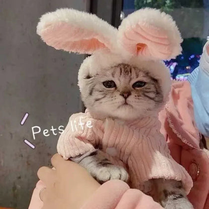 Cute Rabbit Pet Coat