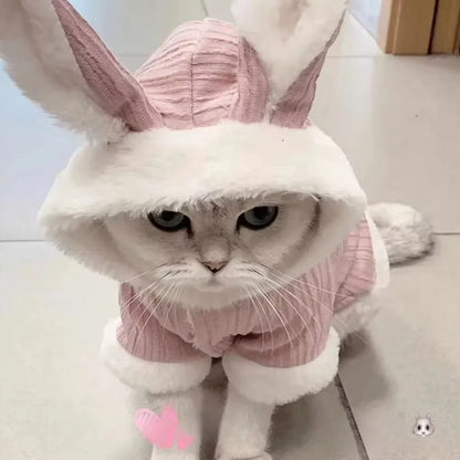 Cute Rabbit Pet Coat