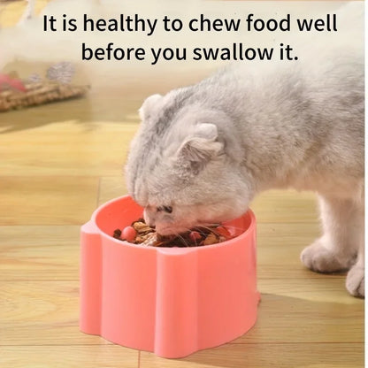 Slow Feed Pet Bowl