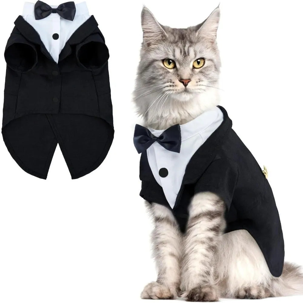 Cozy Cat Hoodie