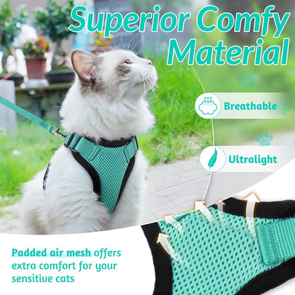 Classic Cat Essential