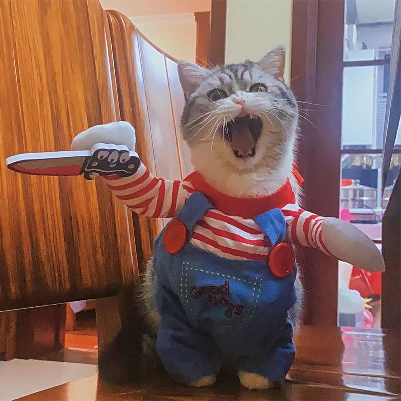 Funny Halloween Cat Costume