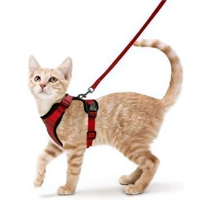 Classic Cat Essential