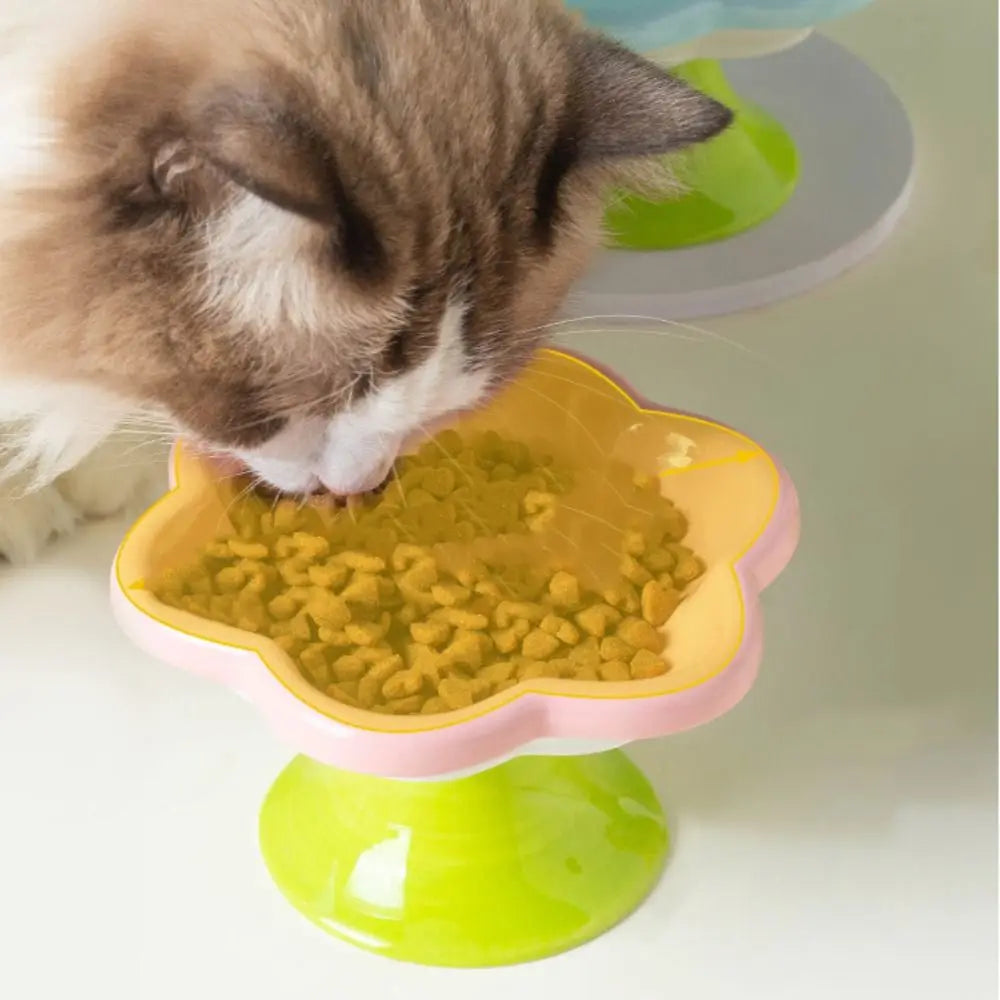 Cartoon Ceramic Pet Bowl