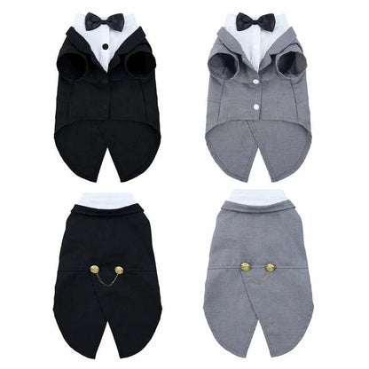 Cozy Cat Hoodie
