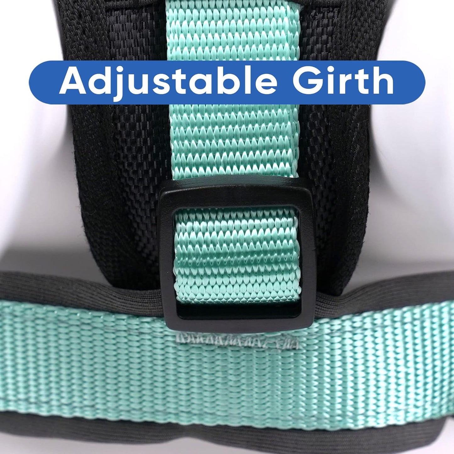 Reflective Dog Harness Padded Dog Harness Provides Comfort Control for a Walk or Running Great Pet Accessories Dog Vest XS Extra Small Teal Dog Harness